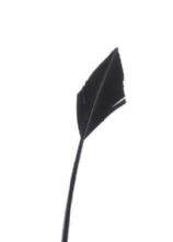 Black Arrow Head Feather